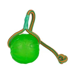 Balle pour chien Starmark Swing n Fling Chew ball
