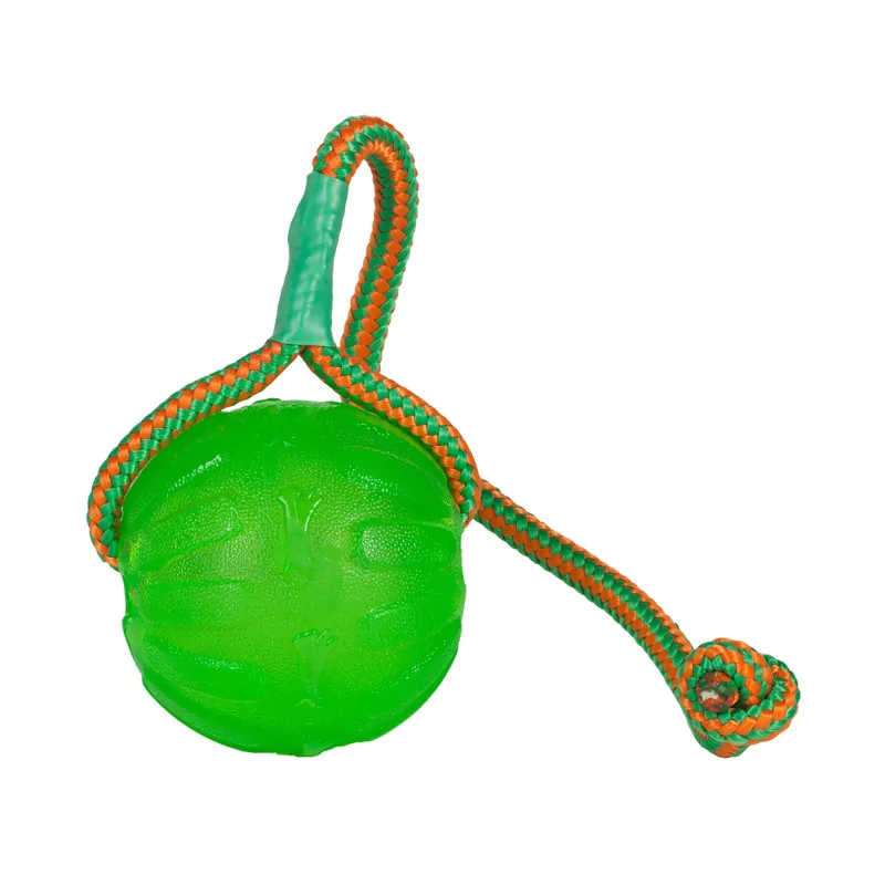 Balle pour chien Starmark Swing n Fling Chew ball